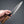 Hitohira Hizen Kurouchi Blue #1 Stainless Clad Ajikiri 145mm Ho Wood Handle Product vendor