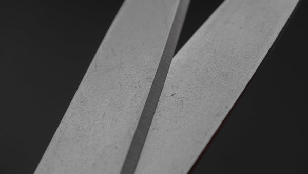 ALLEX Long Kitchen Shears - Tetogi