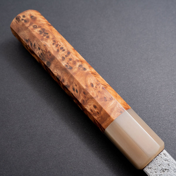 Cygnus Coryphus 26c3 250mm Gyuto Riisgaard Elm Burl Handle - Tetogi