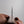 Cygnus Coryphus 26c3 250mm Gyuto Riisgaard Elm Burl Handle - Tetogi
