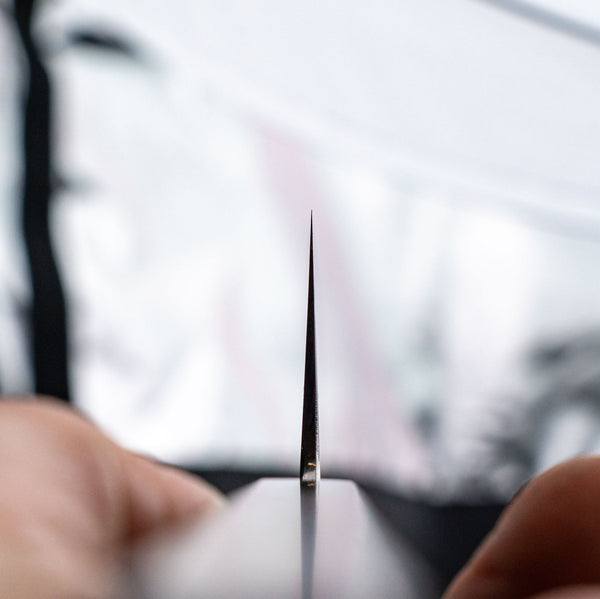 Tetsujin Blue 2 Kasumi Kiritsuke Gyuto 240mm Taihei Wood Handle - Tetogi