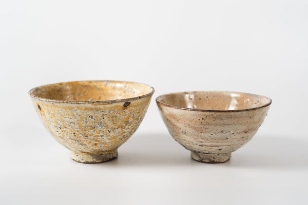 Shinichi Kotsuji - Rice Bowl Large Haiyugesho (ash glaze) - Tetogi