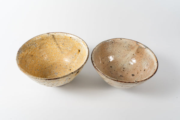 Shinichi Kotsuji - Rice Bowl Large Haiyugesho (ash glaze) - Tetogi