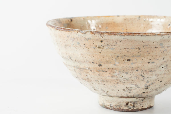 Shinichi Kotsuji - Rice Bowl Large Haiyugesho (ash glaze) - Tetogi