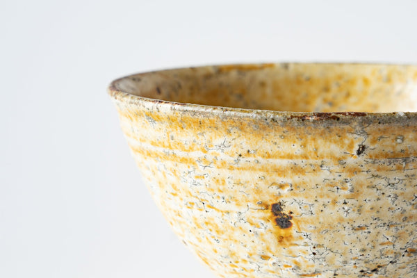 Shinichi Kotsuji - Rice Bowl Large Kizeto - Tetogi