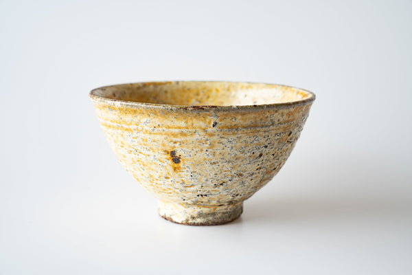 Shinichi Kotsuji - Rice Bowl Large Kizeto - Tetogi