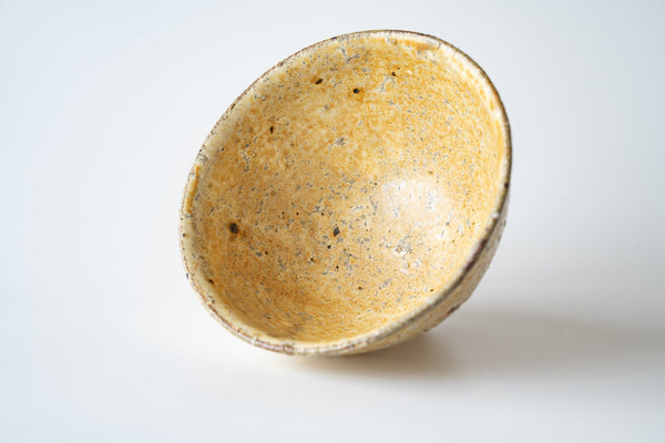 Shinichi Kotsuji - Rice Bowl Large Kizeto - Tetogi