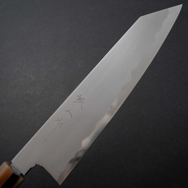 Tetsujin Blue #2 Kasumi Kiritsuke Gyuto 210mm Taihei Tagayasan Handle - Tetogi