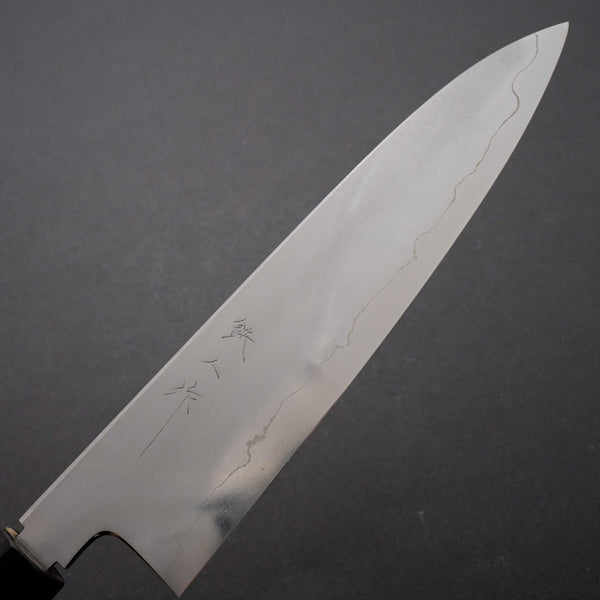 Tetsujin Silver #3 Kasumi Gyuto 210mm Taihei Tagayasan Handle - Tetogi